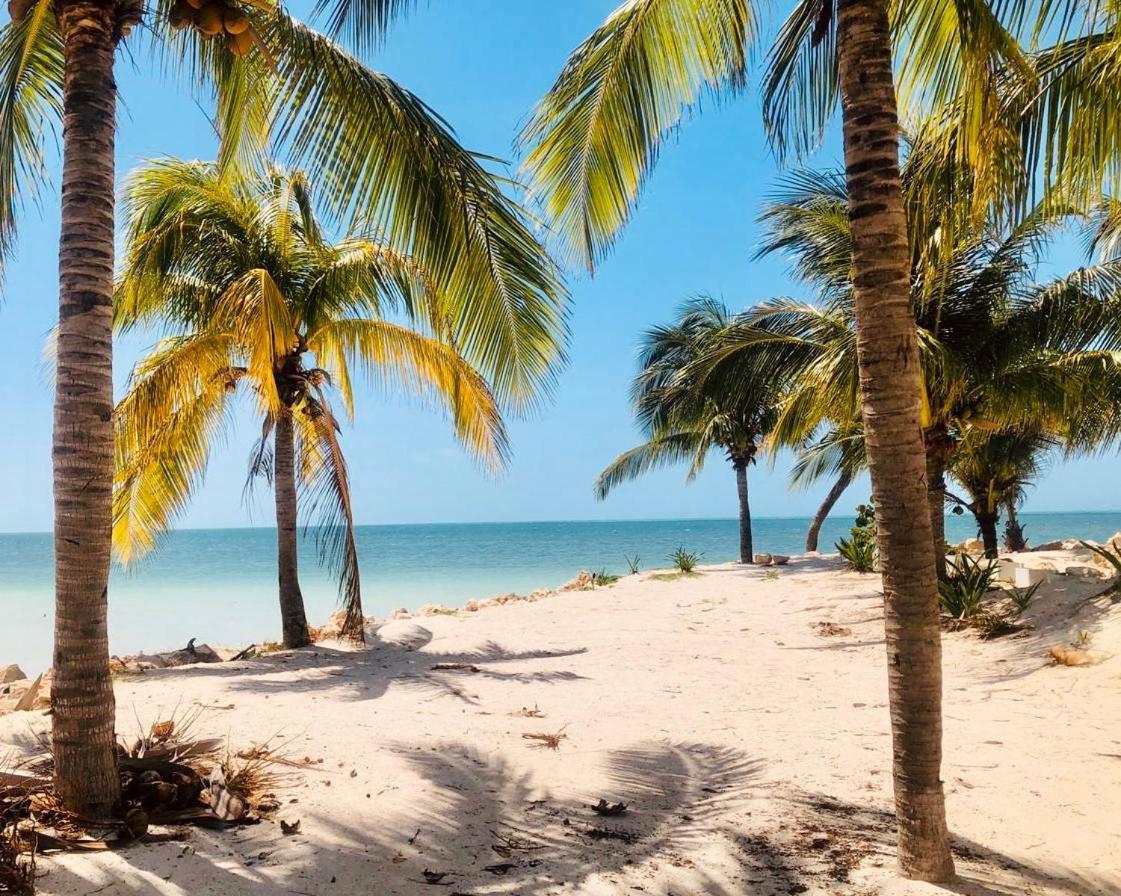 Corazon Mexicano Holbox מראה חיצוני תמונה